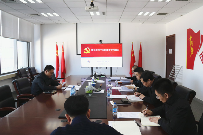 集團(tuán)召開黨委理論學(xué)習(xí)中心組集中學(xué)習(xí)會議